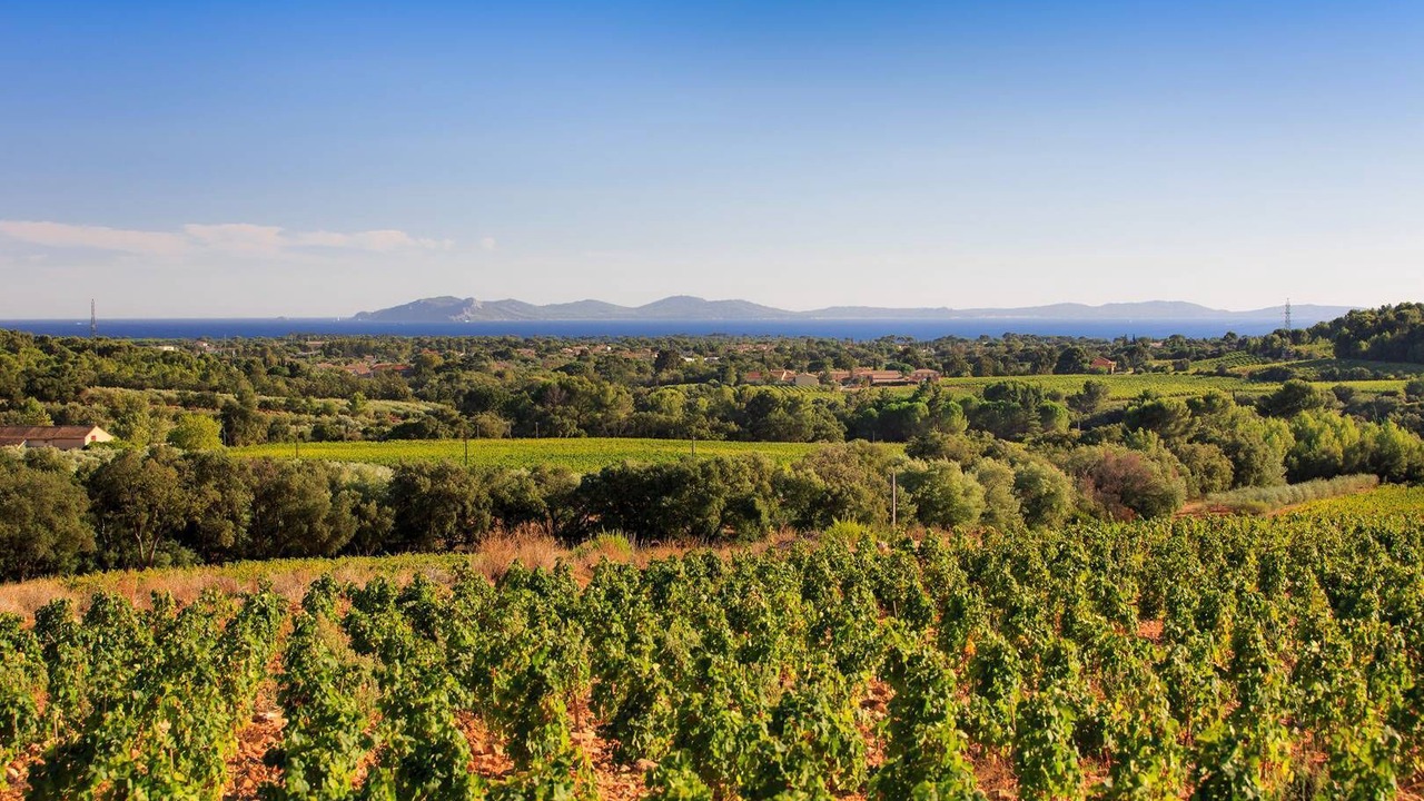 Photo of Outdoor in La Londe-les-Maures
