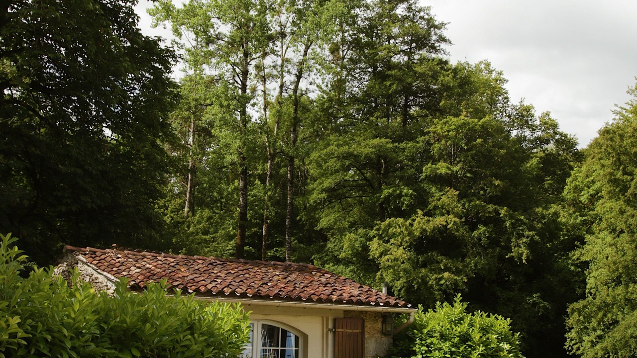 Photo of Outdoor in Courthezon