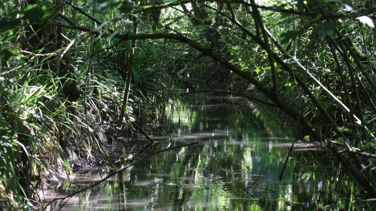 Photo of Outdoor in Courthezon