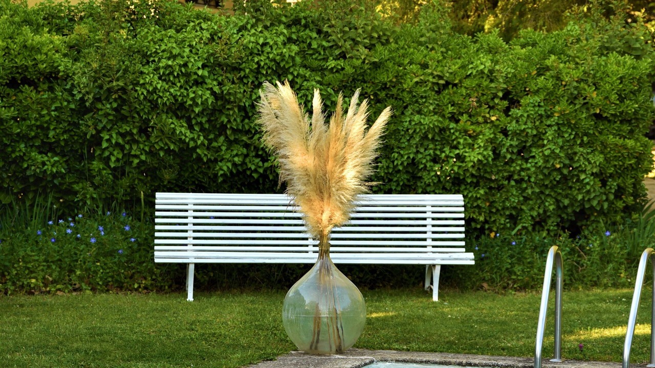 Photo of Outdoor in Saint-Chamas
