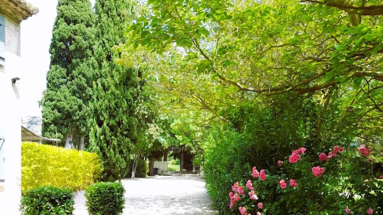 Photo of Outdoor in Salon-de-Provence