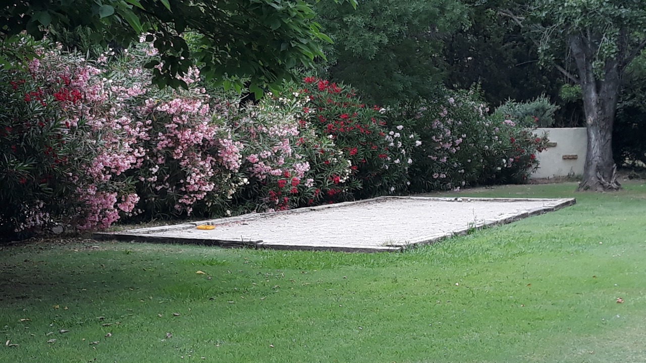 Photo of Outdoor in Salon-de-Provence