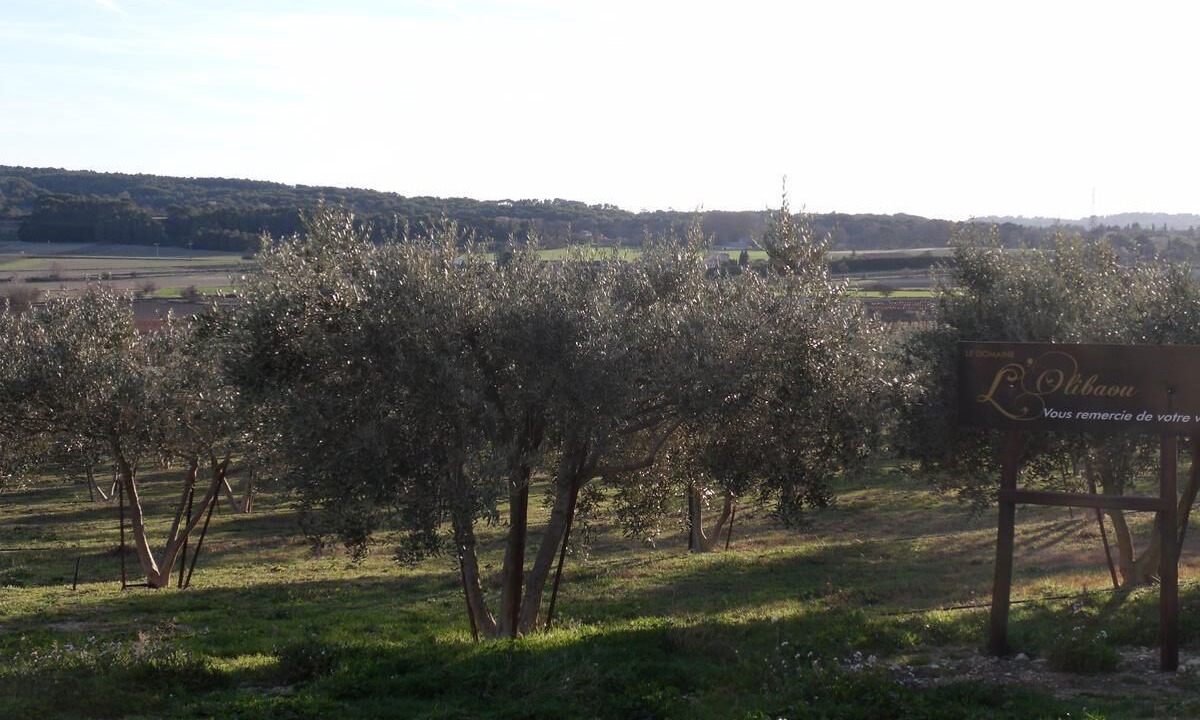 Photo of Others in Venelles