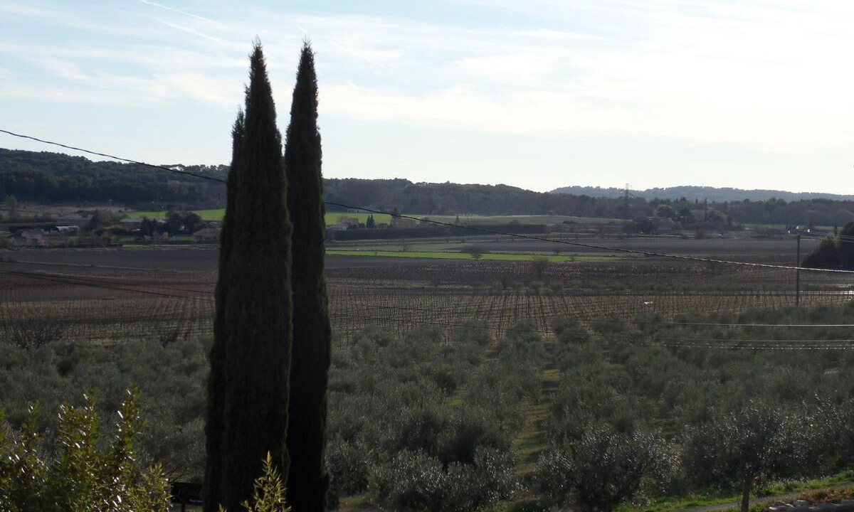 Photo of Others in Venelles