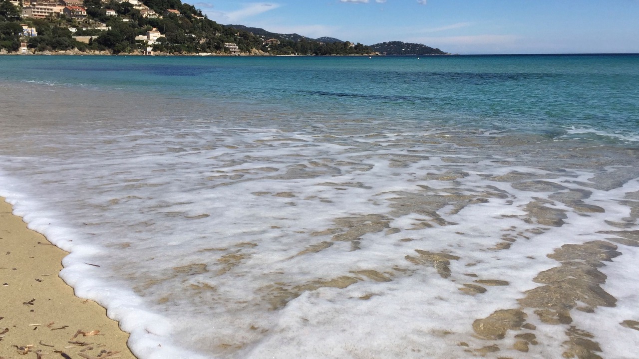 Photo of Others in Le Lavandou