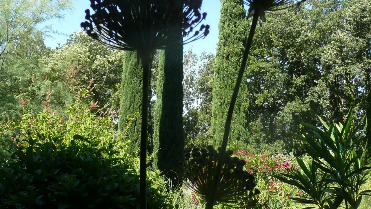 Photo of Outdoor in Domazan