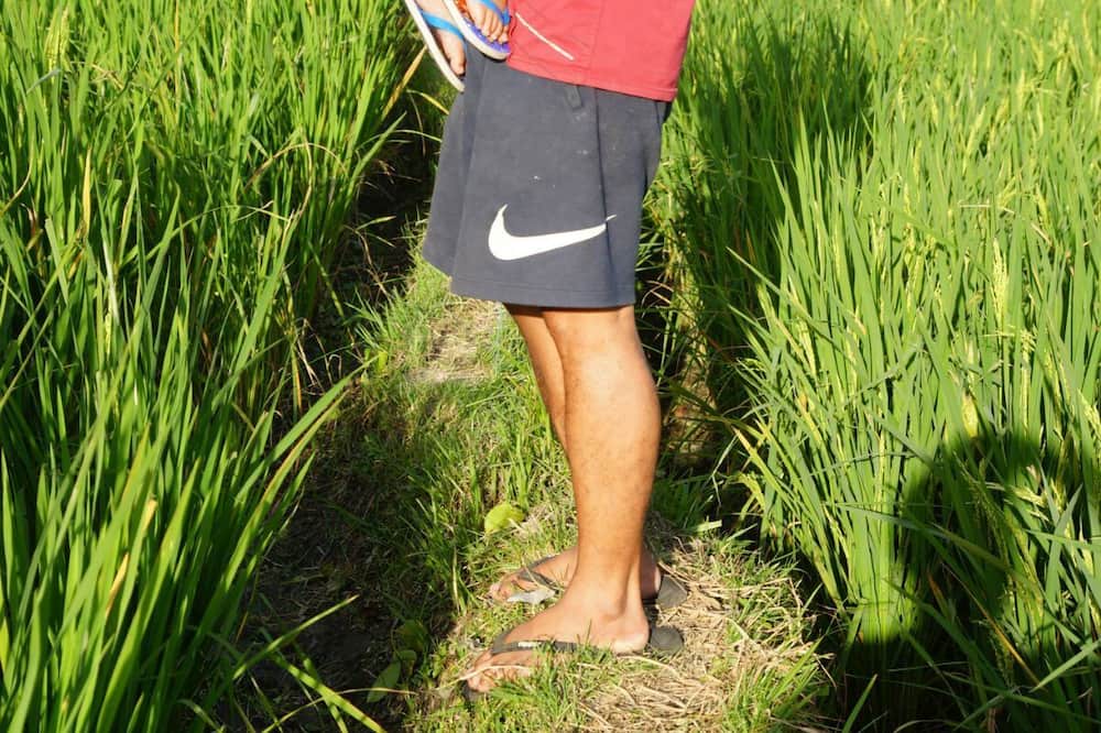 Photo of Outdoor in Mas