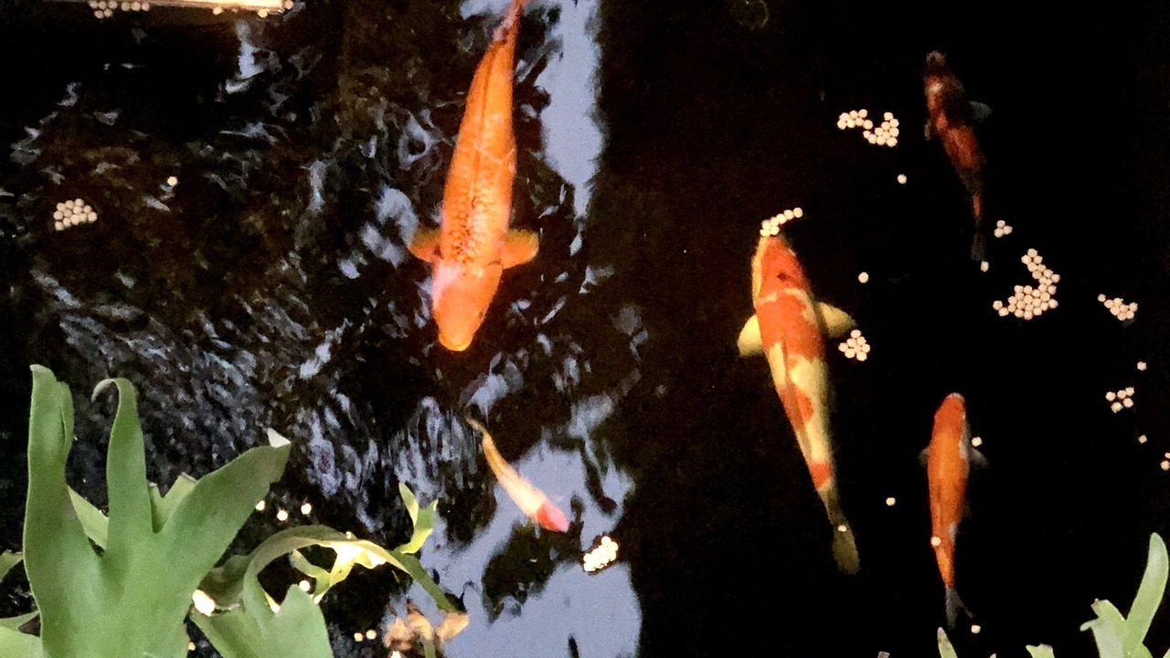 Photo of Outdoor in Ubud City-Centre