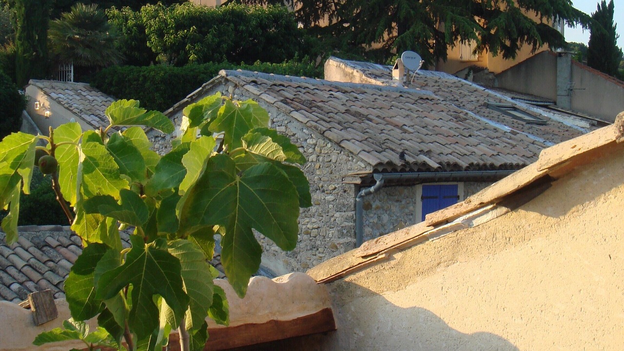 Photo of Outdoor in Vinsobres