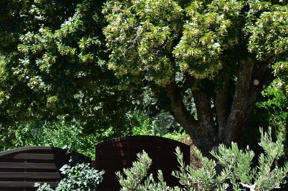 Photo of Outdoor in L'Hospitalet