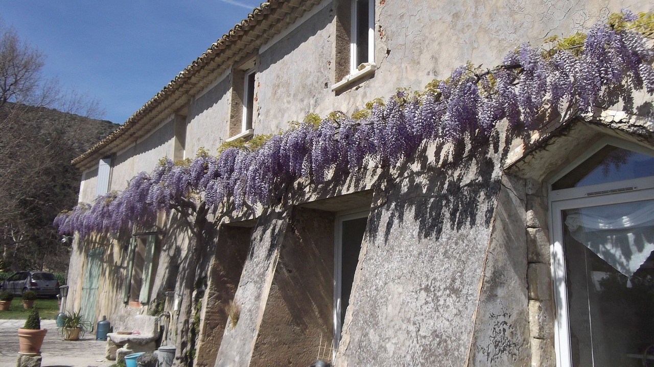 Photo of Outdoor in Malaucene