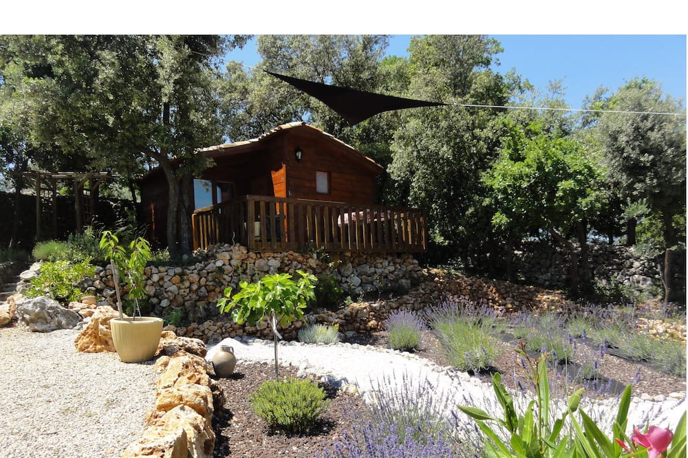 Photo of Outdoor in Trans-en-Provence