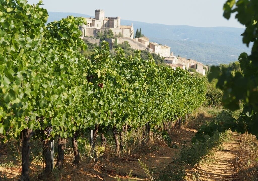 Photo of Others in Le Barroux