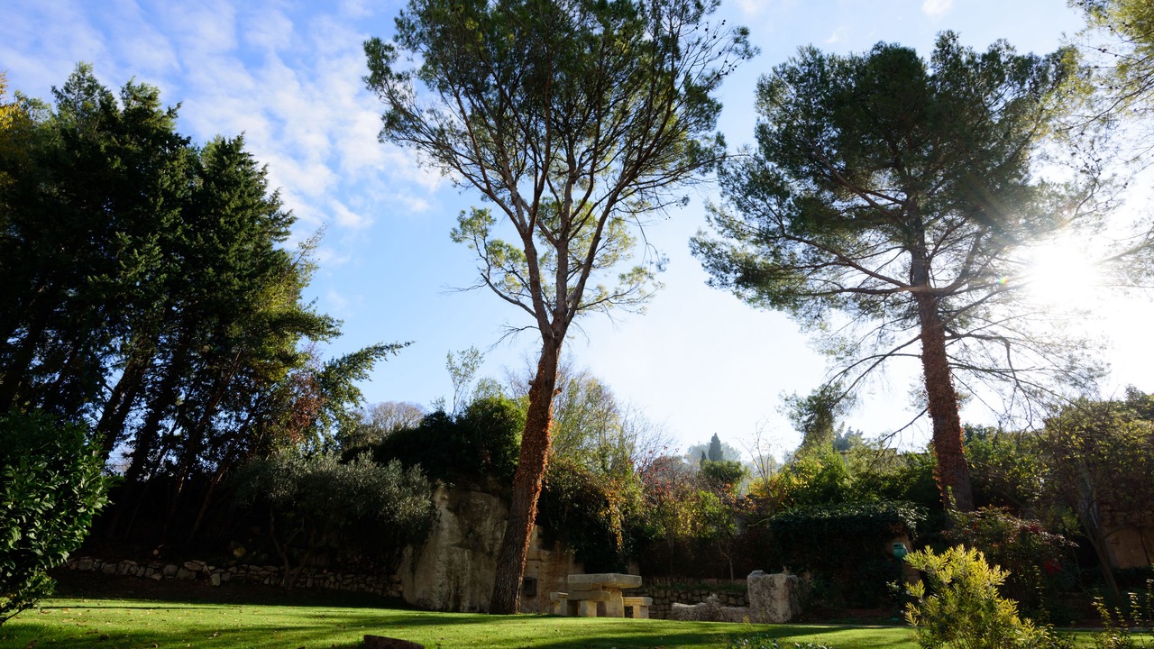 Photo of Outdoor in Fontvieille