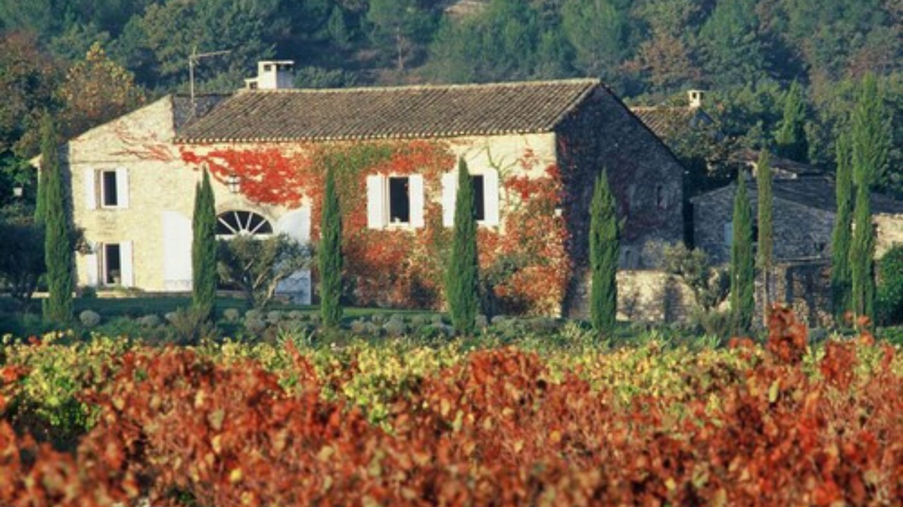 Photo of Outdoor in Menerbes
