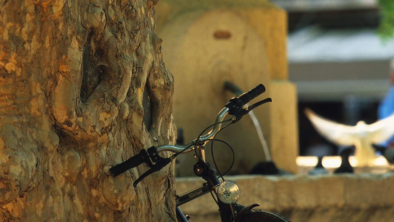Photo of Outdoor in Menerbes