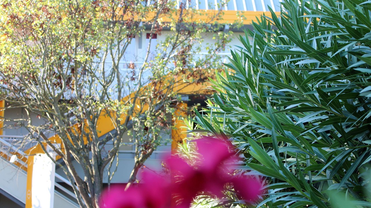 Photo of Outdoor in Orange