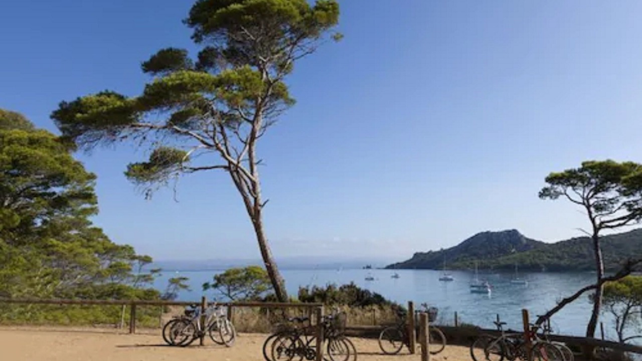 Photo of Outdoor in Porquerolles