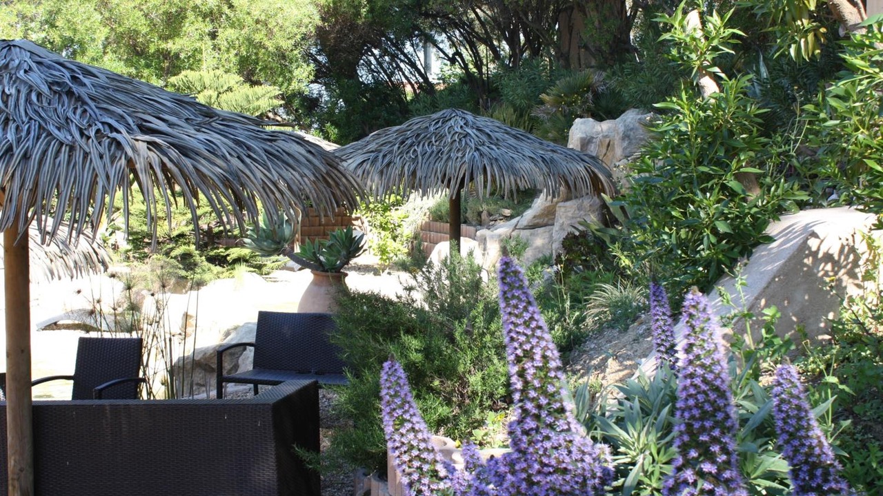 Photo of Outdoor in Porquerolles