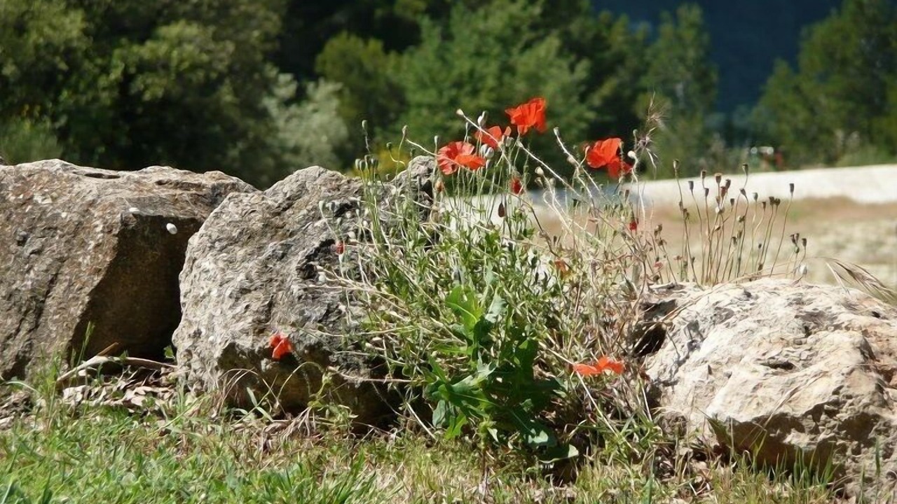 Photo of Outdoor in Lioux