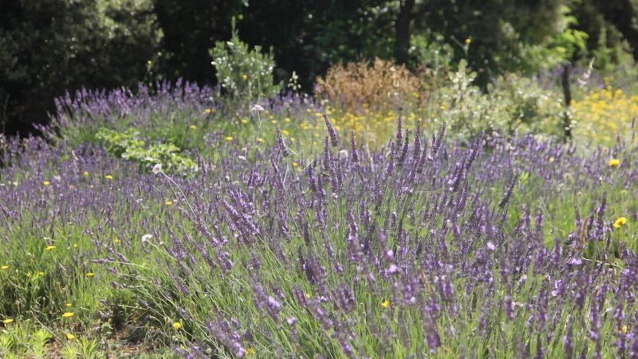 Photo of Outdoor in Jouques