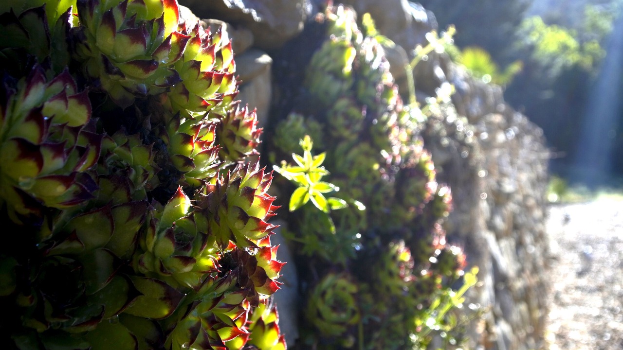 Photo of Outdoor in La Roquebrussanne