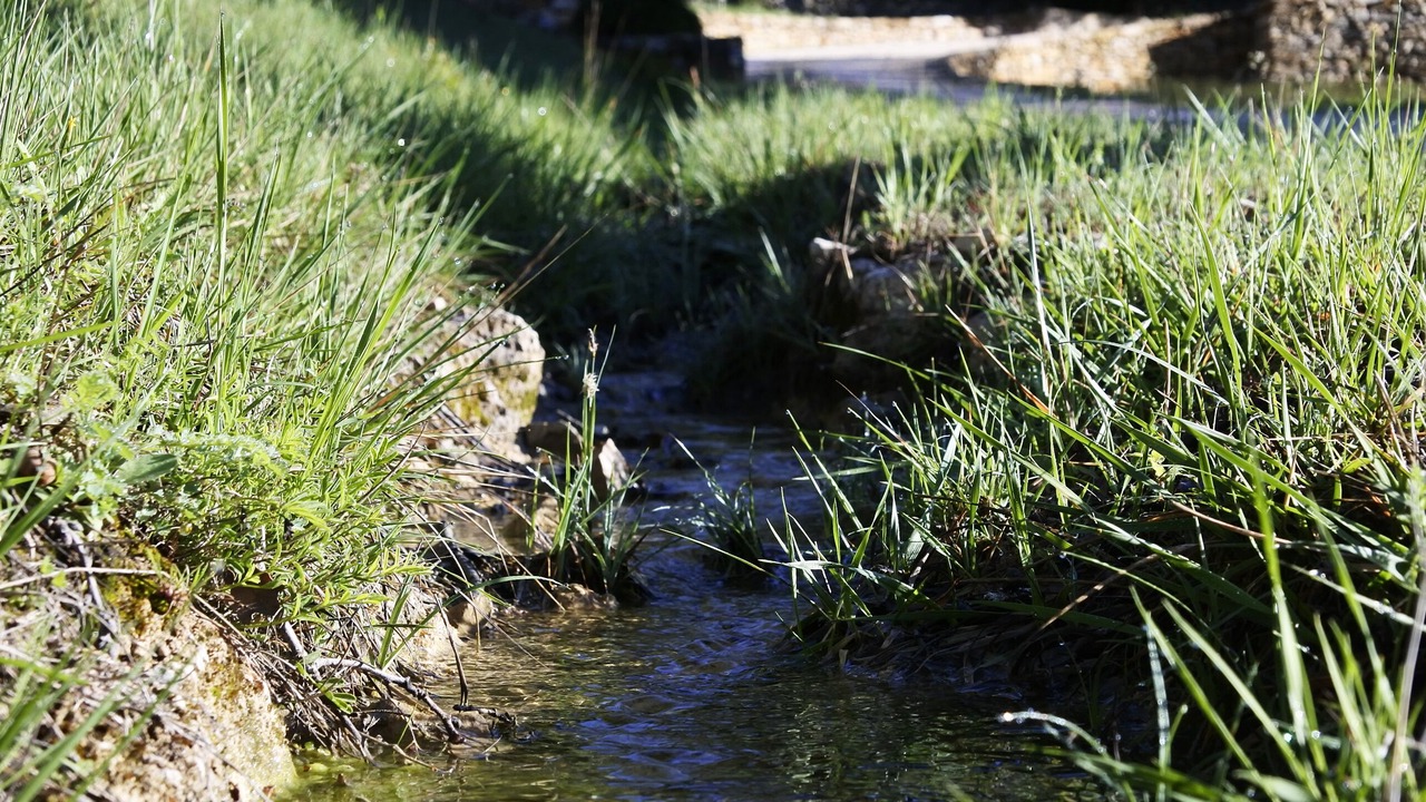 Photo of Outdoor in La Roquebrussanne