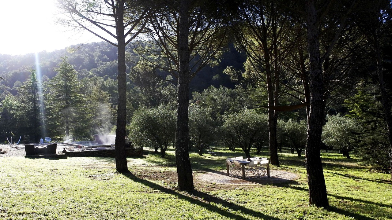 Photo of Outdoor in La Roquebrussanne
