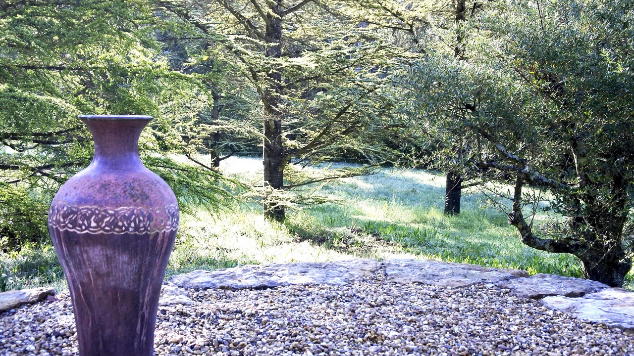 Photo of Outdoor in La Roquebrussanne