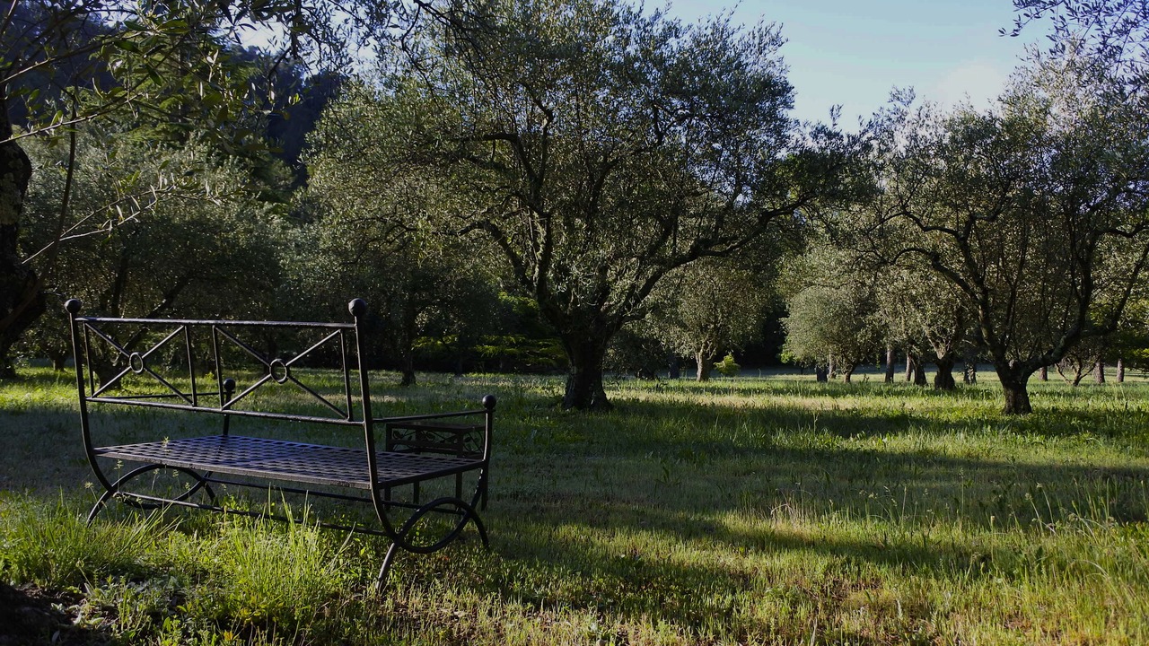Photo of Outdoor in La Roquebrussanne