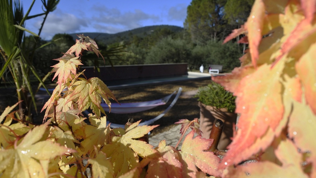 Photo of Outdoor in La Roquebrussanne