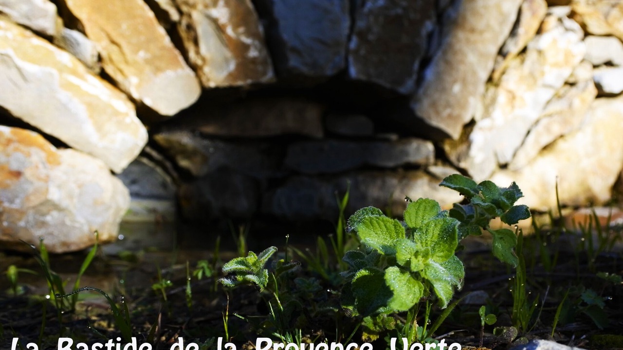 Photo of Outdoor in La Roquebrussanne