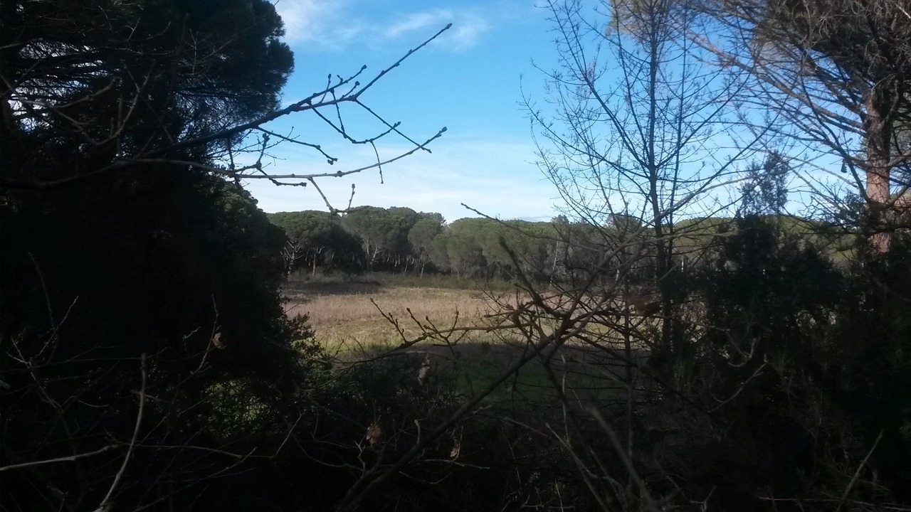 Photo of Others in Roquebrune-sur-Argens