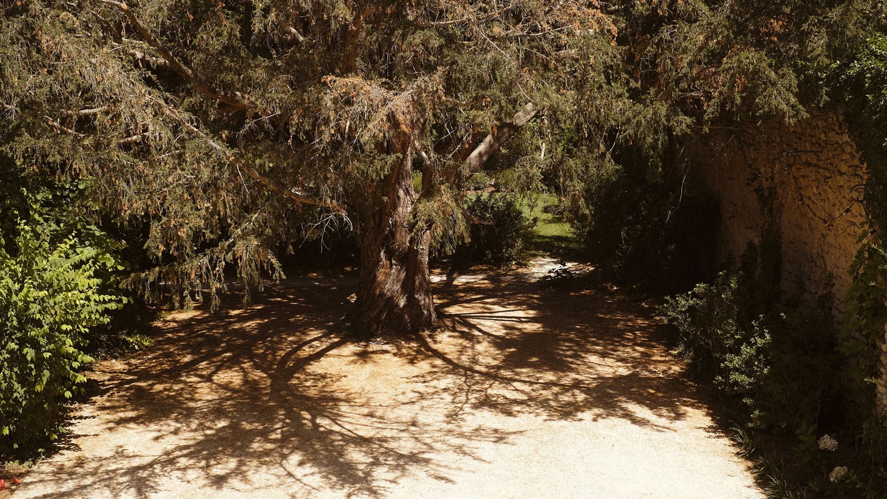 Photo of Outdoor in Lourmarin