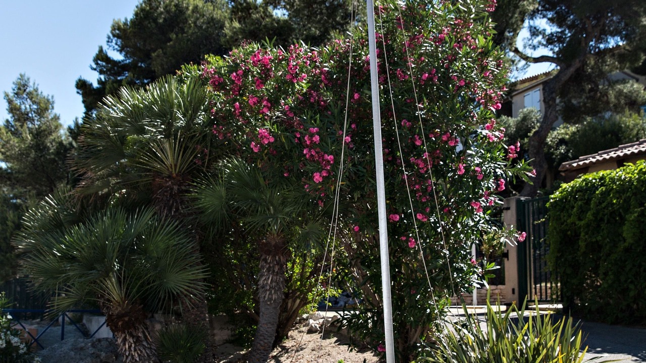 Photo of Outdoor in Martigues
