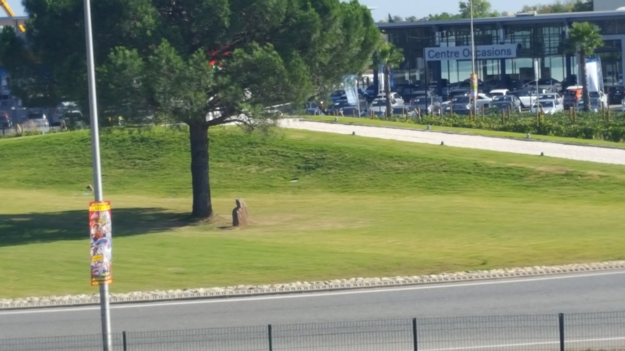 Photo of Others in Roquebrune-sur-Argens