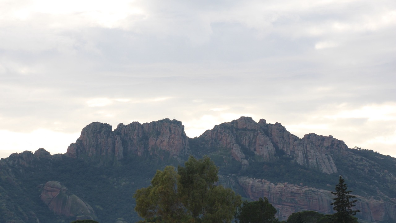 Photo of Others in Roquebrune-sur-Argens
