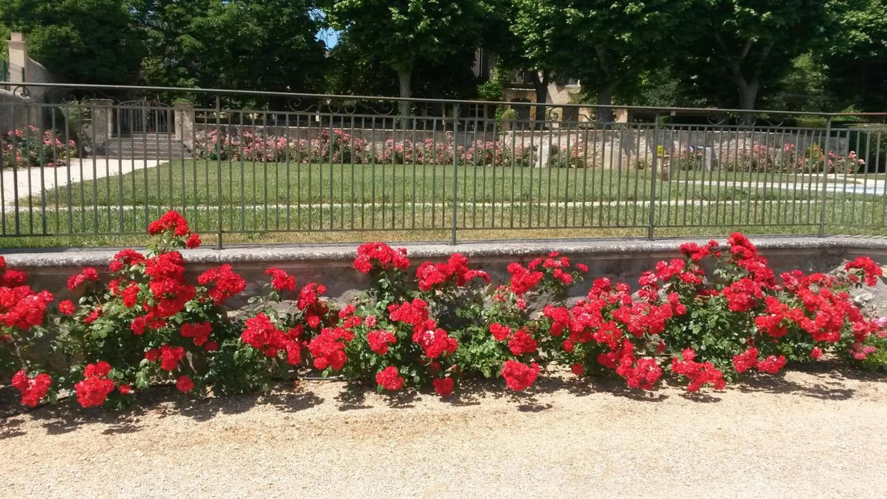Photo of Outdoor in Cabries