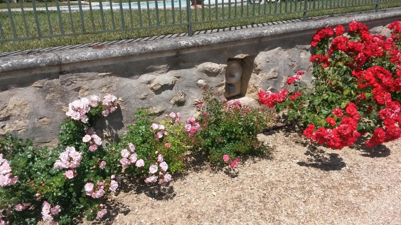 Photo of Outdoor in Cabries