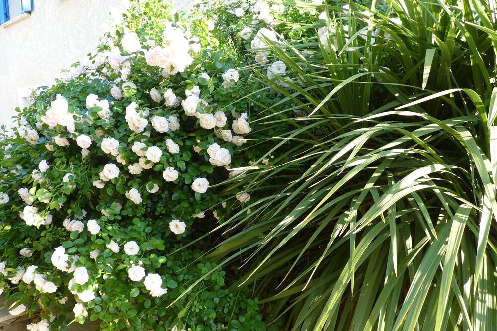 Photo of Outdoor in Roquevaire