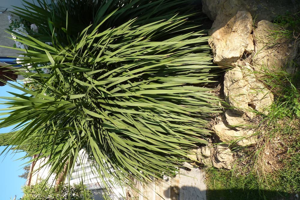 Photo of Outdoor in Roquevaire