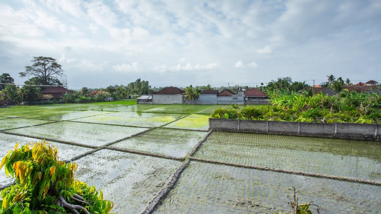 Photo of Others in Munggu