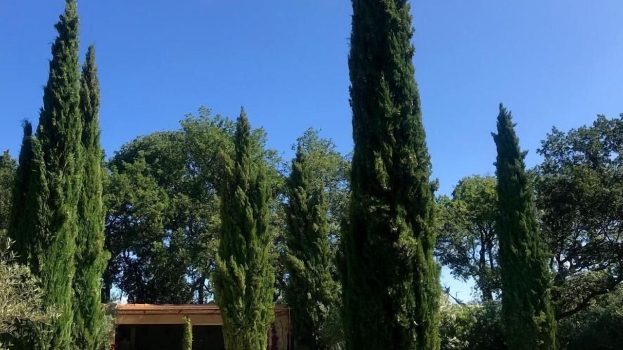 Photo of Outdoor in Mondragon