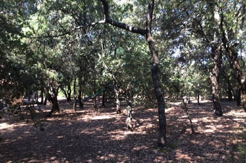 Photo of Outdoor in Croagnes