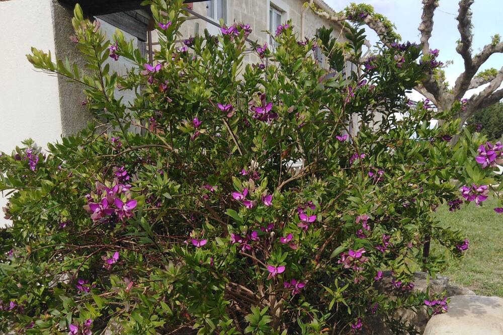 Photo of Outdoor in Vallabregues