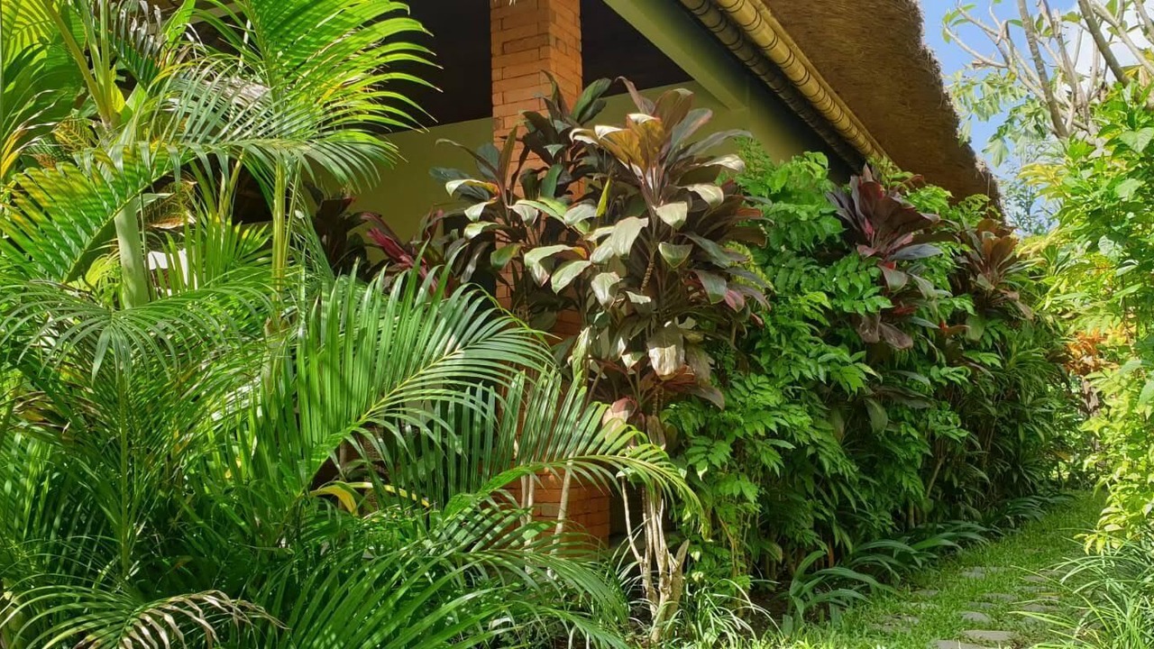 Photo of Outdoor in Mambal