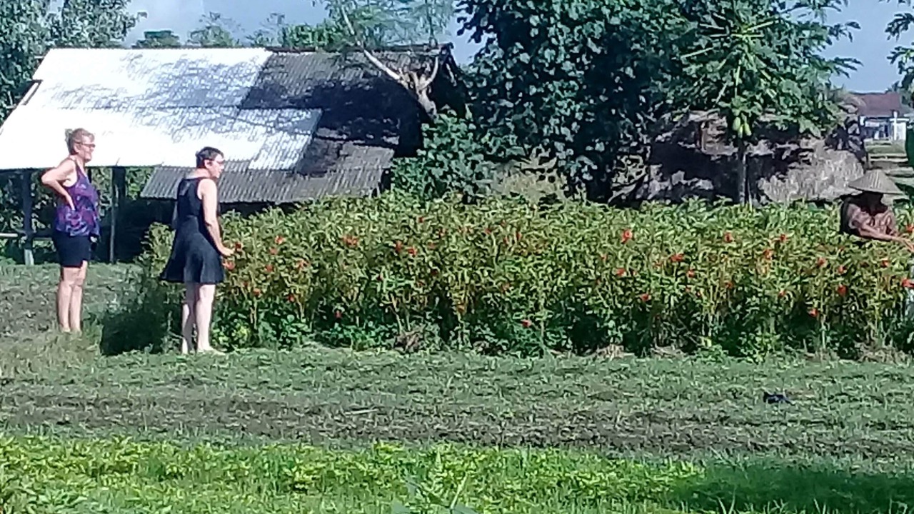 Photo of Outdoor in Mambal