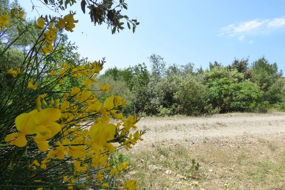 Photo of Outdoor in La Roquebrussanne