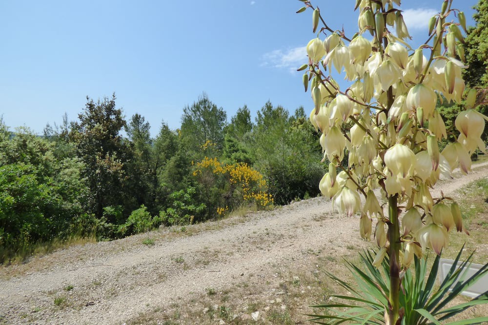 Photo of Outdoor in La Roquebrussanne