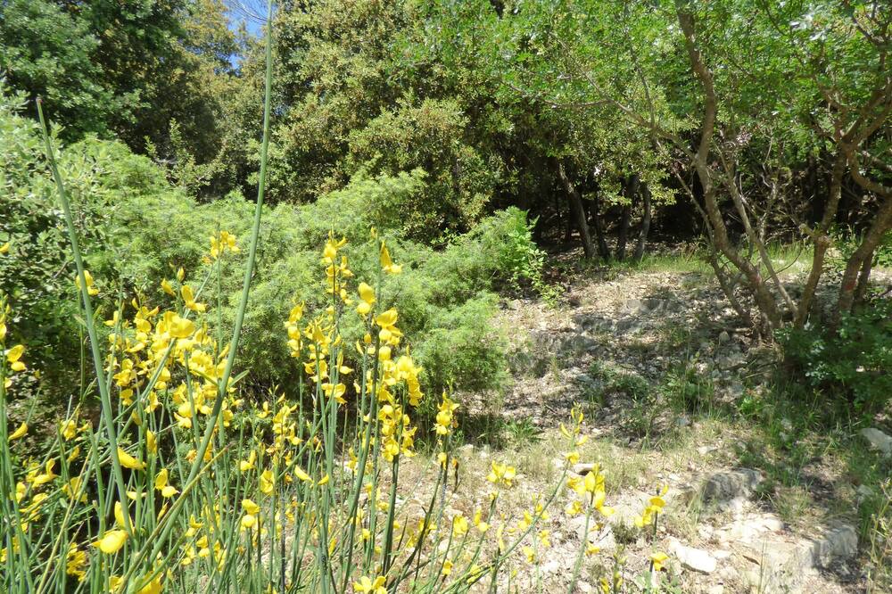 Photo of Outdoor in La Roquebrussanne